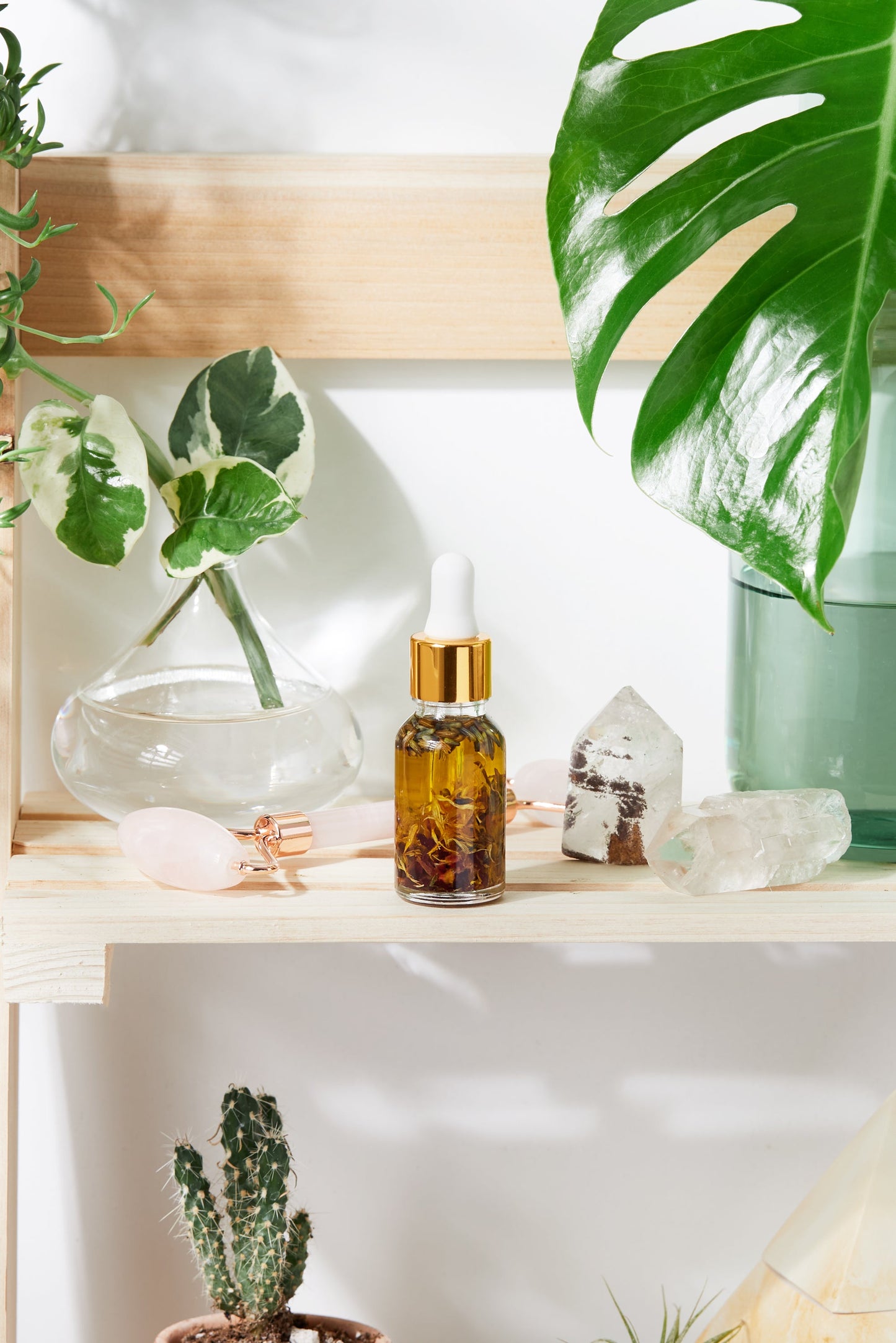 Anti Aging / Youth Serum / Facial Serum