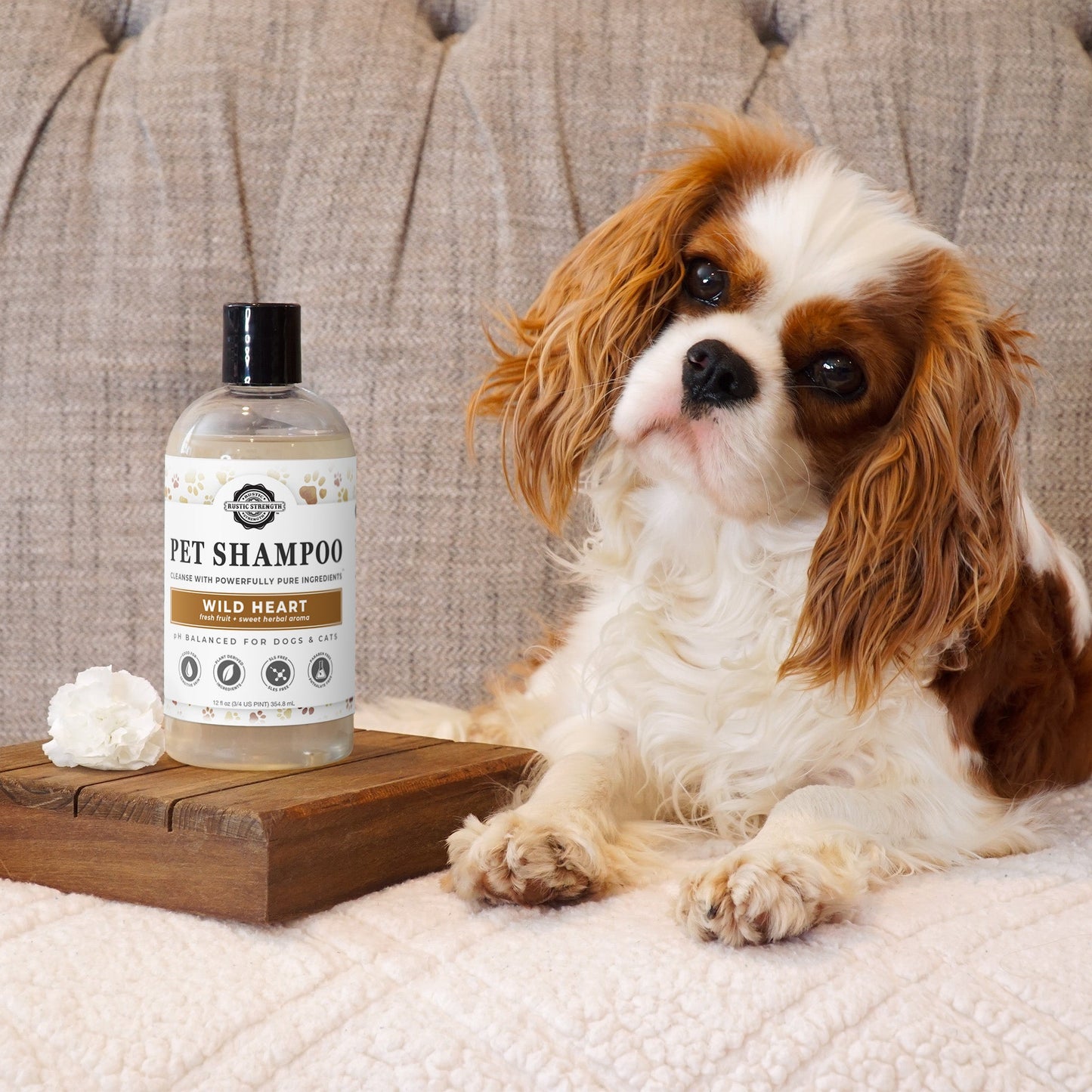 Pet Bundle | Unscented