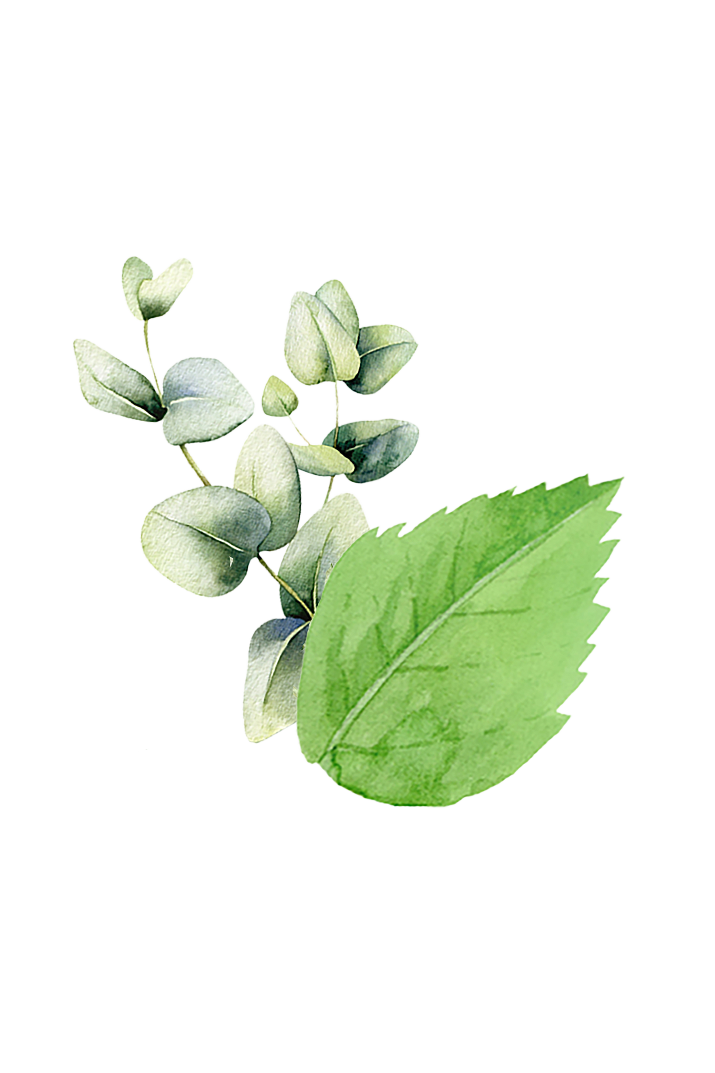 Epsom Salt Soak | Mint & Eucalyptus