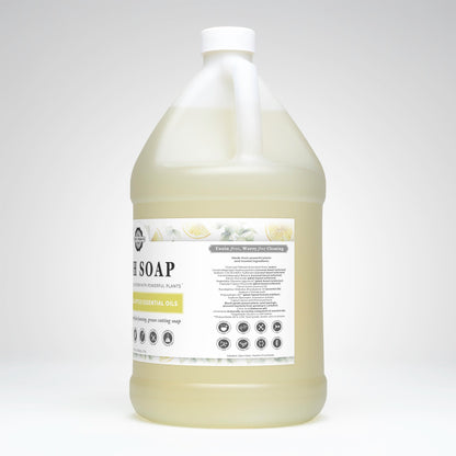 Dish Soap | Lemon & Eucalyptus