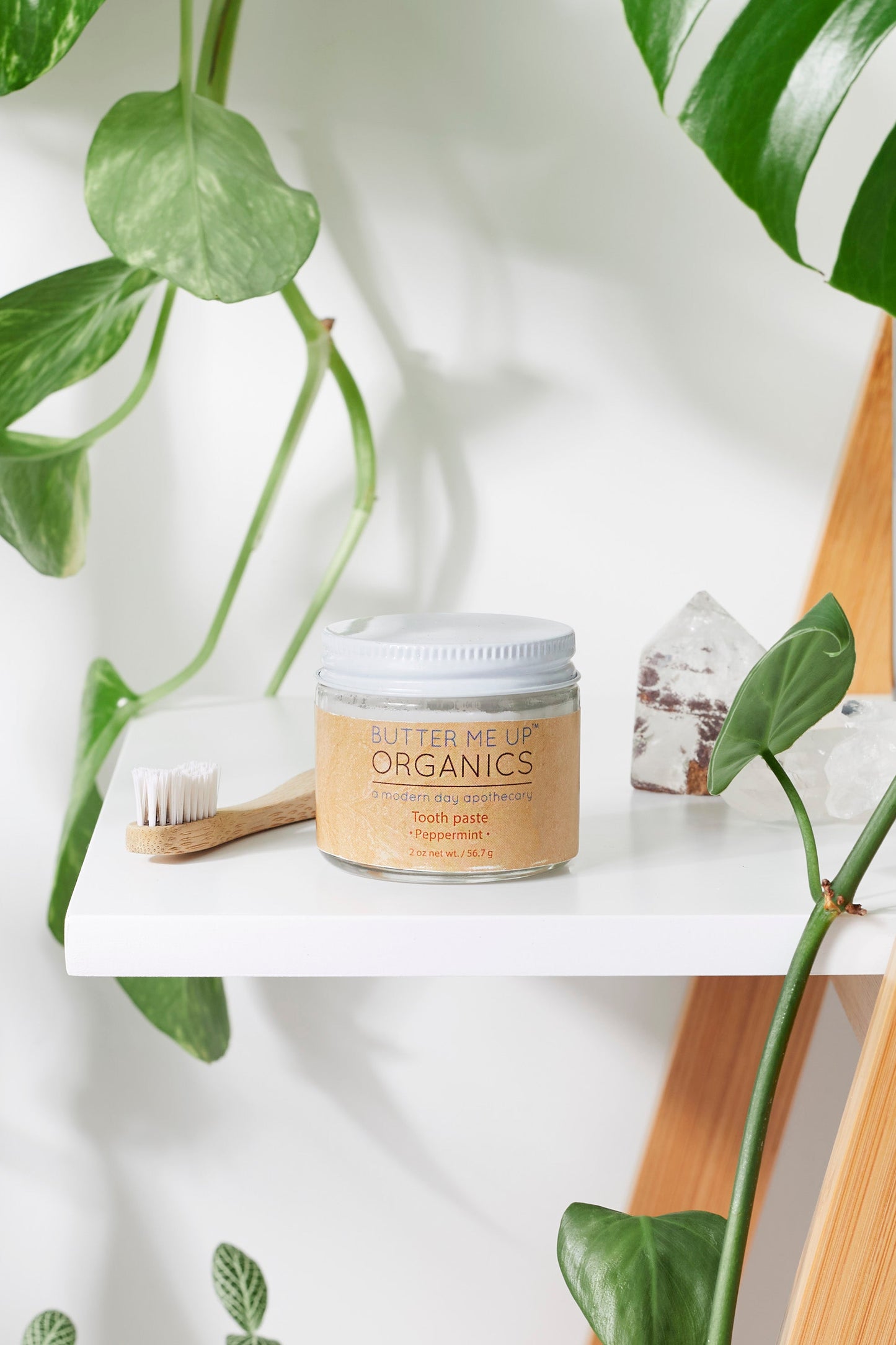 All Natural Organic Whitening Toothpaste / Oral Care Kit / Remineralizing Toothpaste