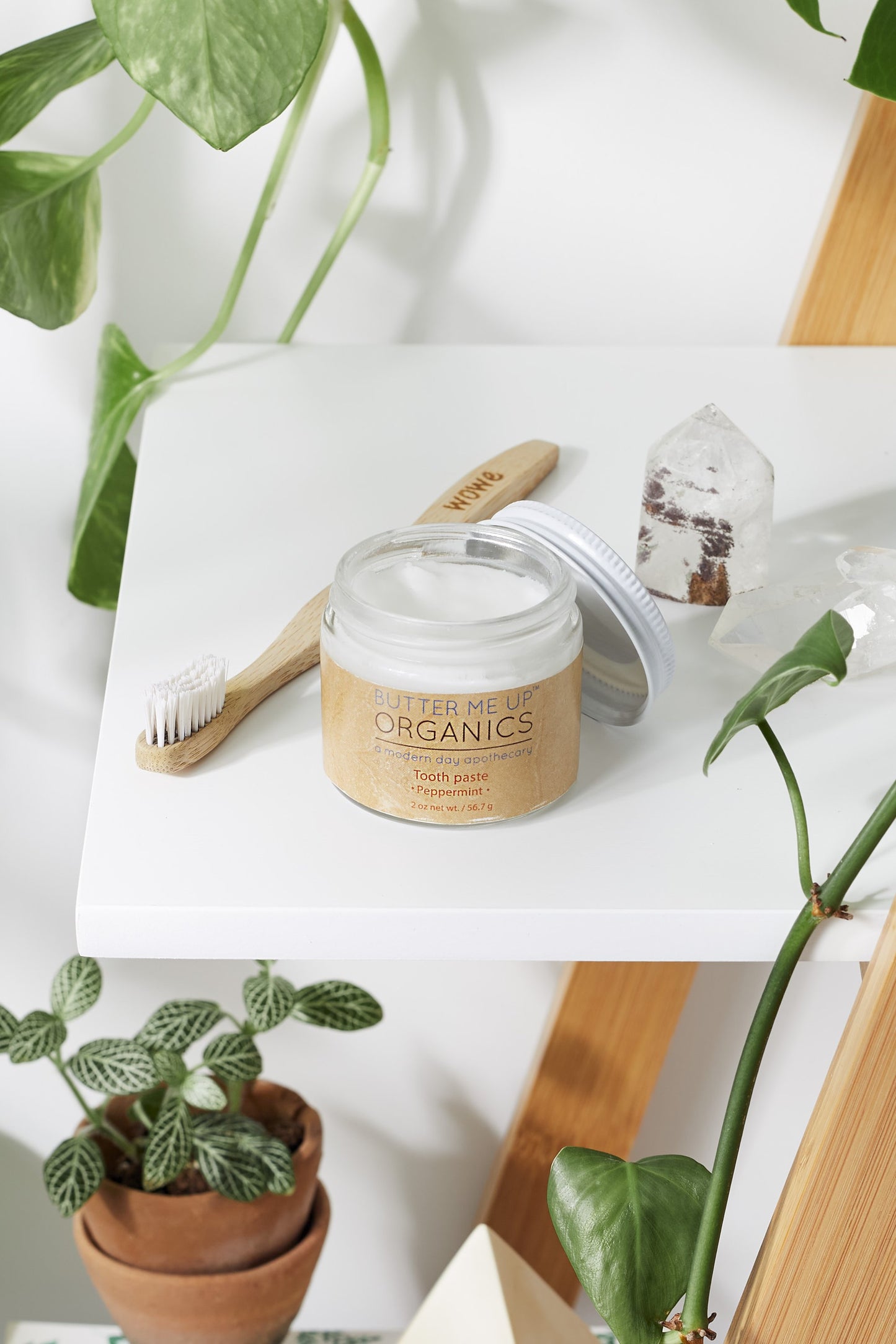 All Natural Organic Whitening Toothpaste / Oral Care Kit / Remineralizing Toothpaste