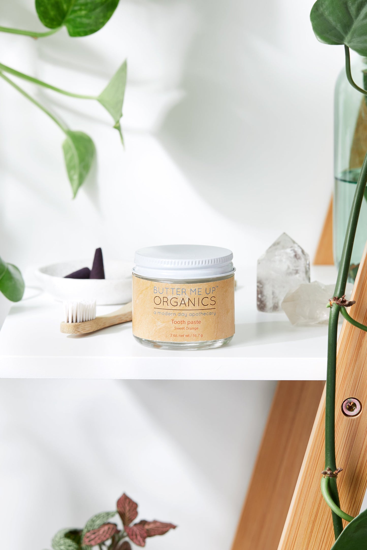 All Natural Organic Whitening Toothpaste / Oral Care Kit / Remineralizing Toothpaste