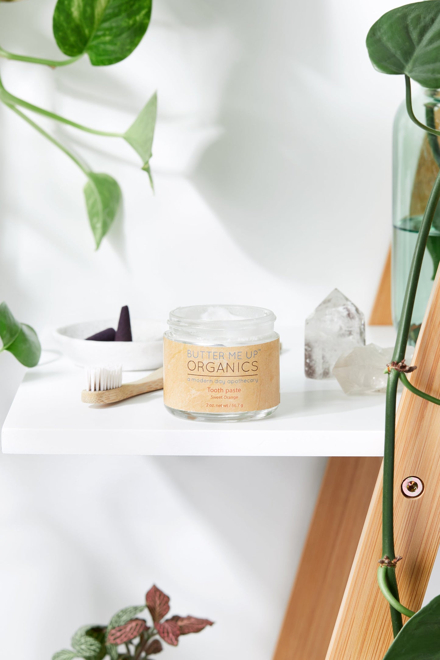 All Natural Organic Whitening Toothpaste / Oral Care Kit / Remineralizing Toothpaste