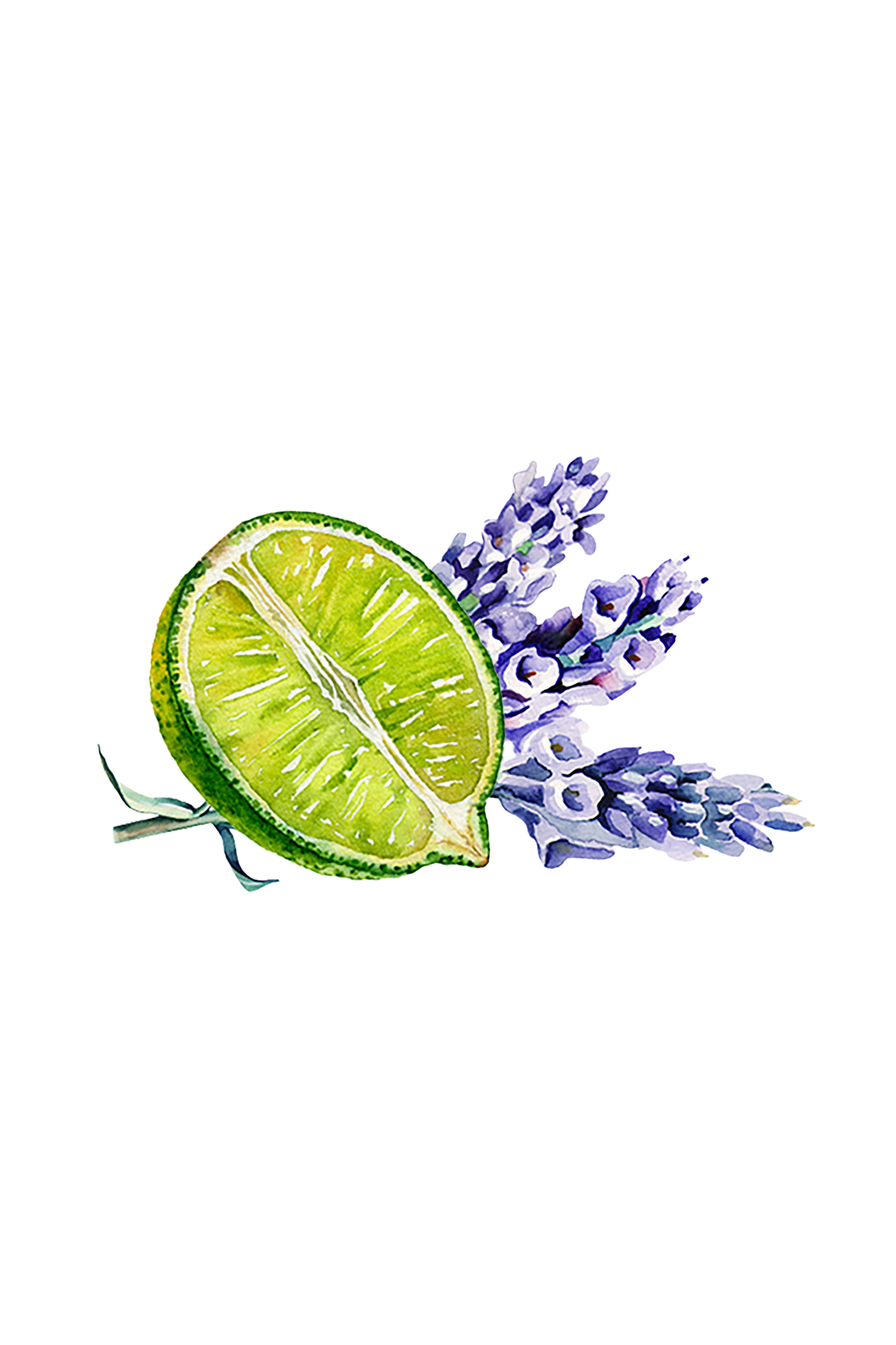 Epsom Salt Soak | Lavender & Lime