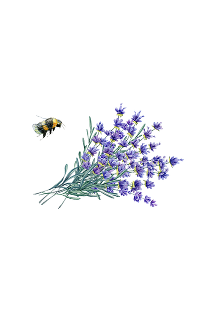 Hand Soap | Lavender Fields
