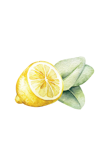 Dish Soap | Lemon & Eucalyptus