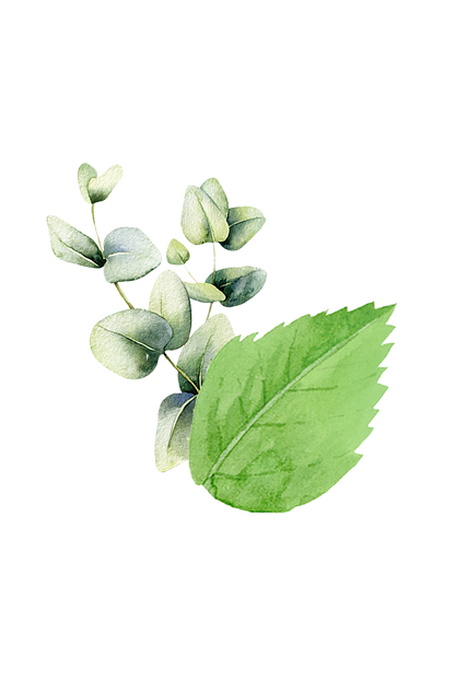 Epsom Salt Soak | Mint & Eucalyptus
